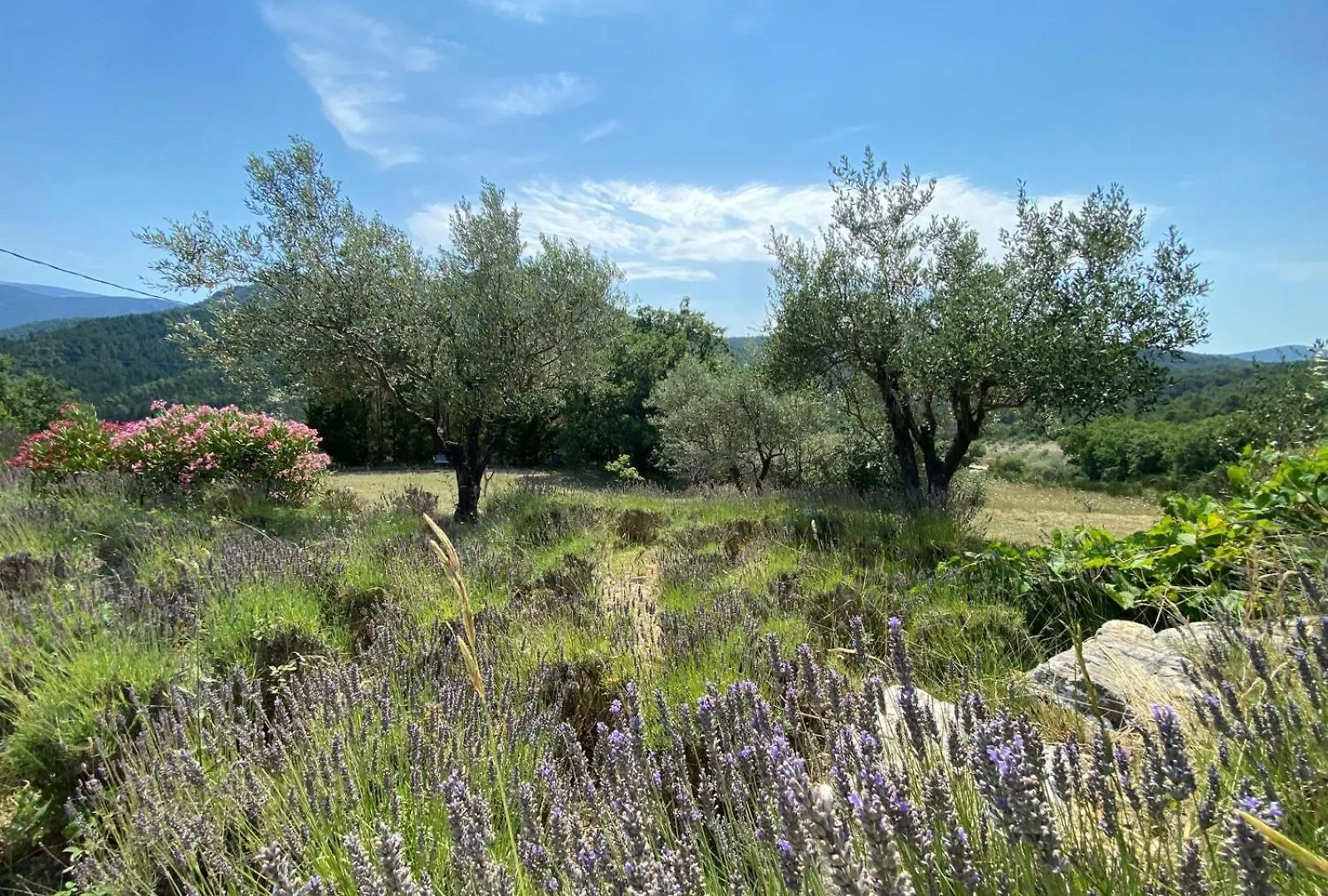 Villa Ferus Piscine Chauffee Buis-les-Baronnies